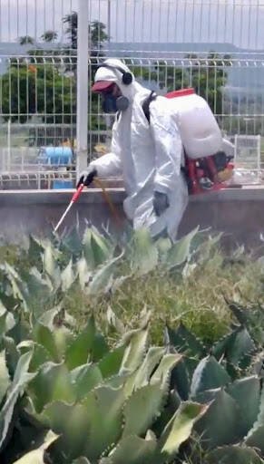 Fumigadores baratos en Aguascalientes Fumigaciones Fumi/Todo