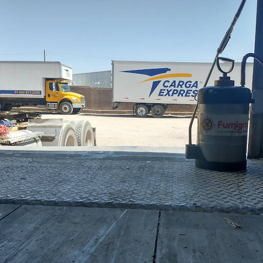 %fumigadores baratos en Chihuahua Fumigaciones Fumigral