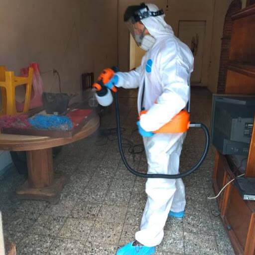 %fumigadores baratos en Cancún Fumigaciones Fumipro