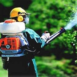 %fumigadores baratos en Cancún Fumigaciones Garantizadas Cancun