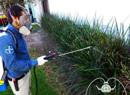 Fumigaciones Industriales Goncer Pest Control