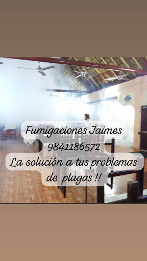 %fumigadores baratos en Playa del Carmen Fumigaciones Jaimes