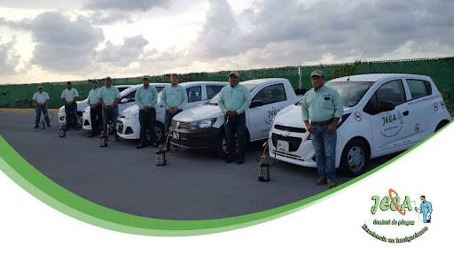%fumigadores baratos en Playa del Carmen :: Fumigaciones Jeca Playa Del Carmen ::
