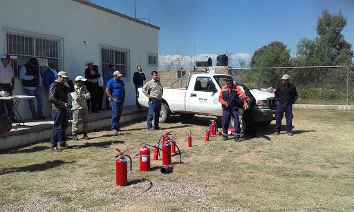 Fumigaciones Killer´S