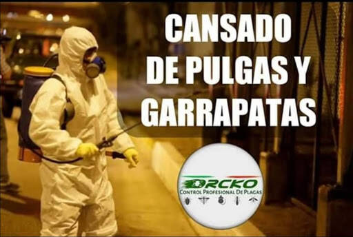 %fumigadores baratos en Cabo San Lucas Fumigaciones Los Cabos