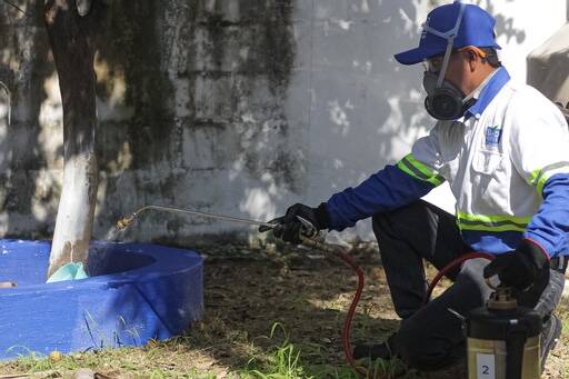 %fumigadores baratos en Merida Fumigaciones Mar