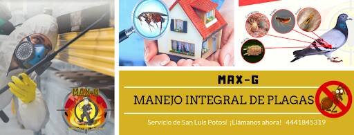 Fumigadores baratos en San Luis Potosi Fumigaciones Max-G