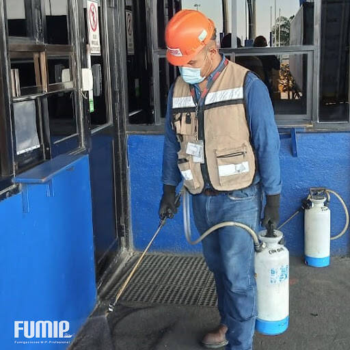 %fumigadores baratos en Candiles Fumigaciones Mip-Profesional