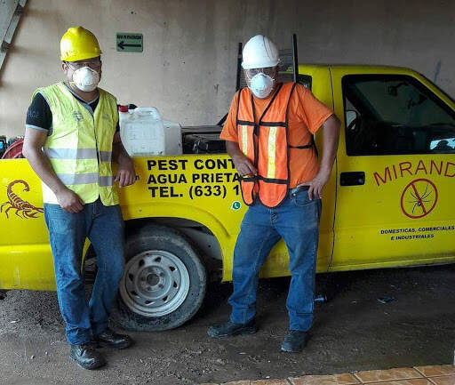 %fumigadores baratos en Agua Prieta Fumigaciones Miranda