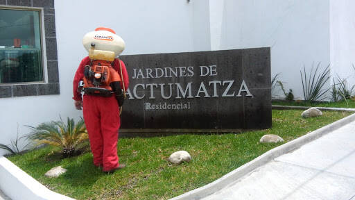 %fumigadores baratos en Tuxtla Gutiérrez Fumigaciones Profesionales Exter Suc Chiapas