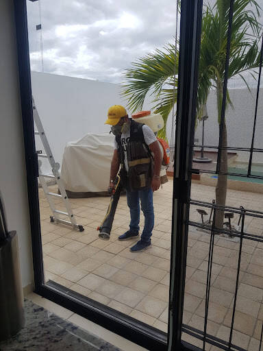 %fumigadores baratos en Centro Fumigaciones Protexsa