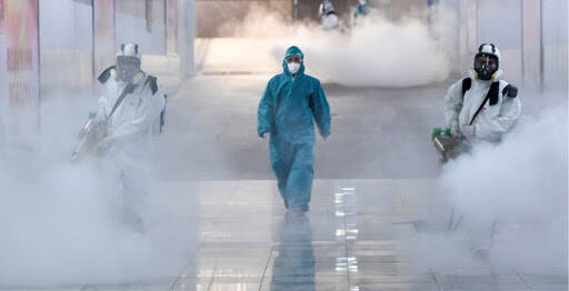 %fumigadores baratos en Puerto Vallarta Fumigaciones Puerto Vallarta Xterminio