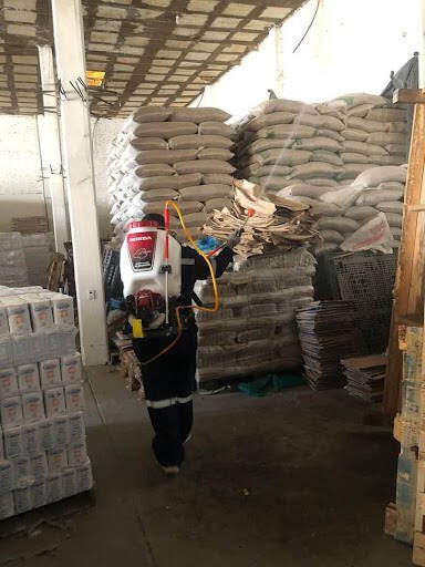 Fumigadores baratos en Durango Fumigaciones Rgn