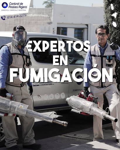 %fumigadores baratos en Chihuahua Fumigaciones Rojero