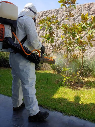 Fumigadores baratos en San Luis Potosi Fumigaciones San Luis