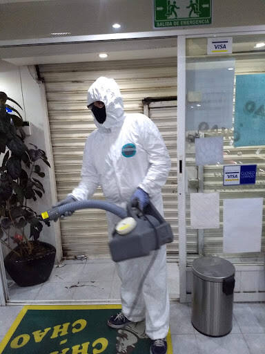 %fumigadores baratos en San Andrés Ahuashuatepec Fumigaciones Scarabert