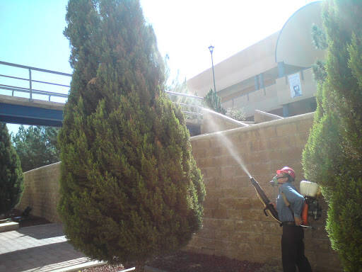%fumigadores baratos en Chihuahua Fumigaciones Tarahumara