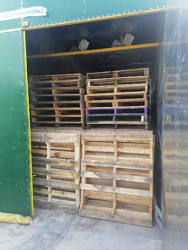 %fumigadores baratos en Kanasín Fumigaciones Tecnicas Y Sistemas Ambientales (Comercializacion De Tarimas De Madera)