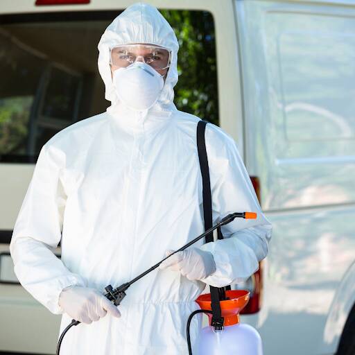 %fumigadores baratos en Benito Juarez, Mexico City Fumigaciones Y Control De Plagas Pest Solution