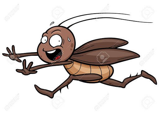 Fumigaciones Y Control De Plagas