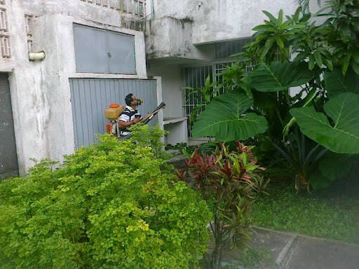 %fumigadores baratos en Chetumal Fumigaciones Y Extinguidores Del Sureste