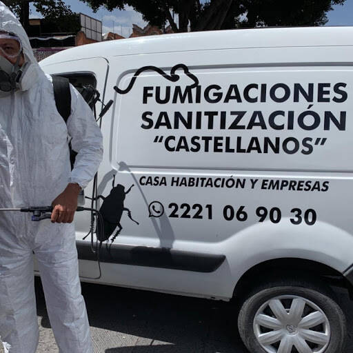 %fumigadores baratos en Puebla Fumigaciones Y Sanitización Castellanos
