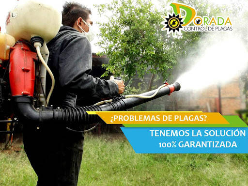 %fumigadores baratos en Merida Fumigadora Dorada