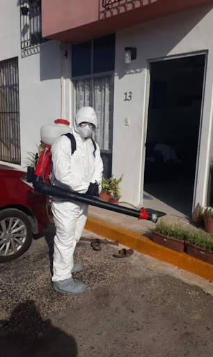 %fumigadores baratos en Chetumal Fumigadora Fumicampos Mx
