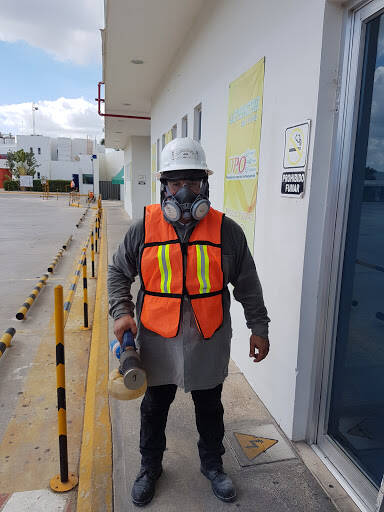 %fumigadores baratos en Merida Fumigadora Jmg
