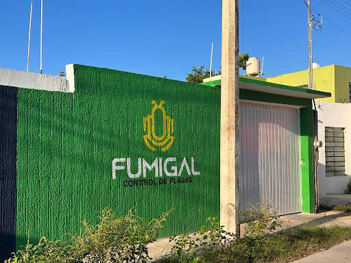 %fumigadores baratos en Merida Fumigal Mérida