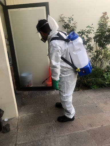 Fumimex Veracruz (Fumigacion Y Sanitización)