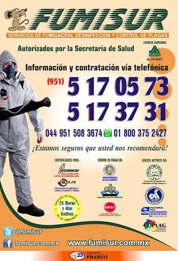 Fumigadores baratos en Oaxaca Fumisur S. De R. L. De C. V.