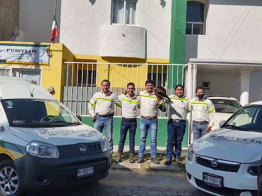 %fumigadores baratos en Zapopan Fumylim | Fumigación Y Control De Plagas En Guadalajara