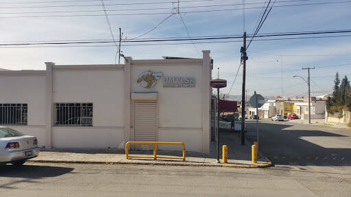 %fumigadores baratos en Chihuahua Fumylsa