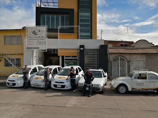 Fumigadores baratos en Durango Genica Fumigaciones