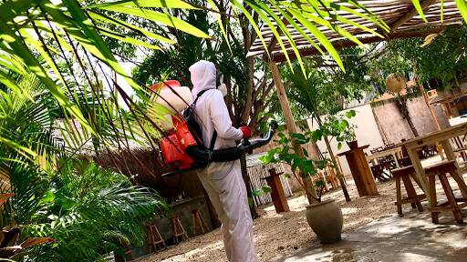 %fumigadores baratos en Tulum Intercep Tulum