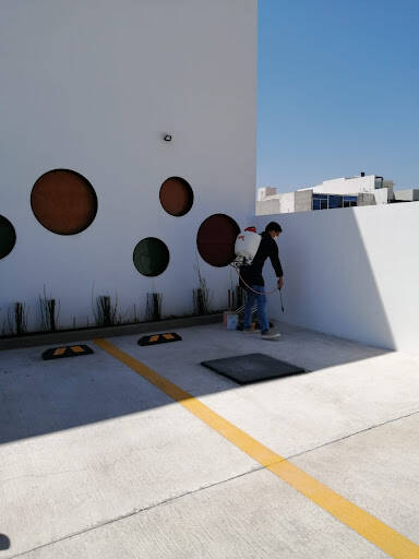 %fumigadores baratos en Santiago de Querétaro Jz Control De Plagas