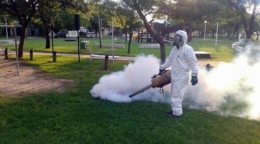 %fumigadores baratos en Mexico City Manejo Integrado De Plagas Ramírez