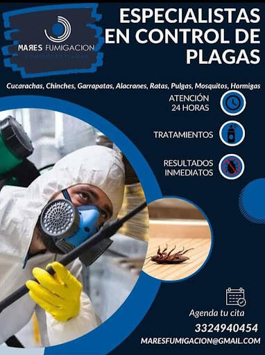 %fumigadores baratos en Guadalajara Mares Fumigación - Control De Plagas