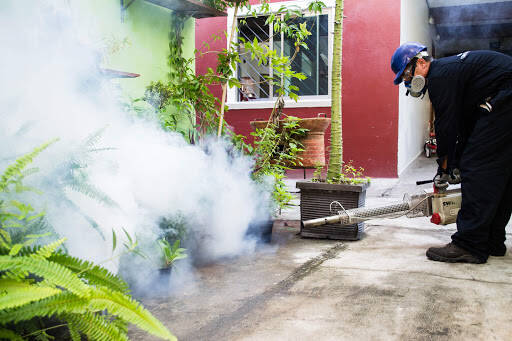 %fumigadores baratos en Heroica Veracruz Maximo Pest Control