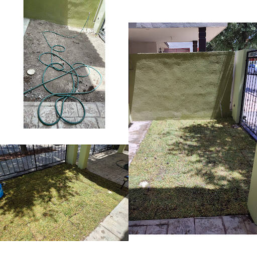 %fumigadores baratos en Guadalupe Mpc Control De Plagas Y Jardinería