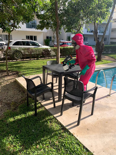 %fumigadores baratos en Playa del Carmen Pesci Control Riviera Maya - Control De Plagas
