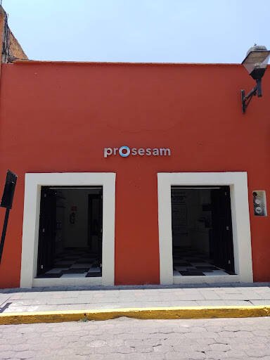 Fumigadores baratos en Tlaxcala Prosesam S.A De C.V.