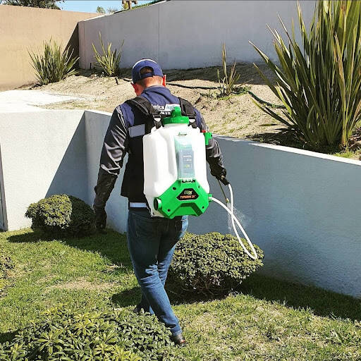 %fumigadores baratos en Tijuana Quimica Aplicada Fumigación Y Desinfección