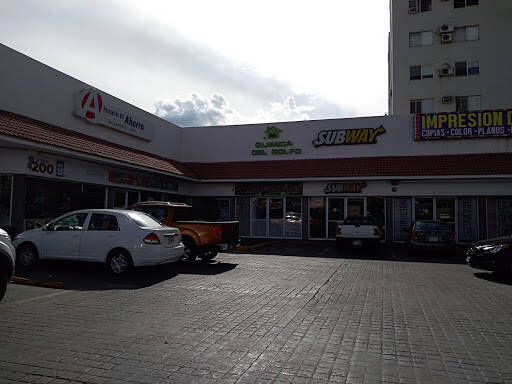 %fumigadores baratos en San Pedro Garza García Quimica Del Golfo