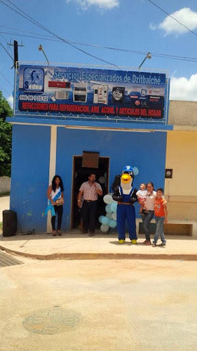 %fumigadores baratos en Calkini Sedna (Servicios Especializados De Calkini)