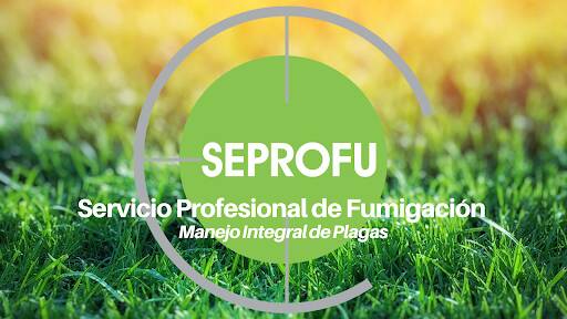 %fumigadores baratos en Benito Juarez, Mexico City Seprofu - Servicio Profesional De Fumigación