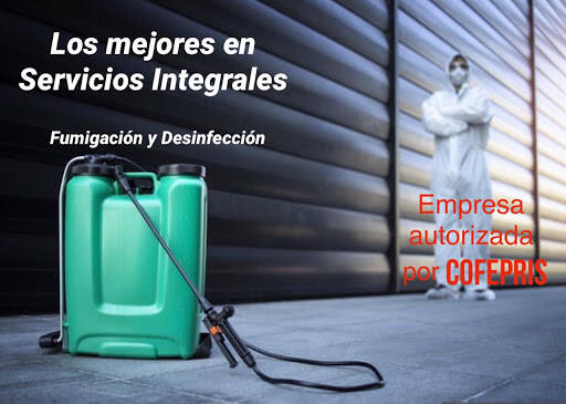 %fumigadores baratos en Ciudad López Mateos Sm Clean - Desinfección Y Fumigación