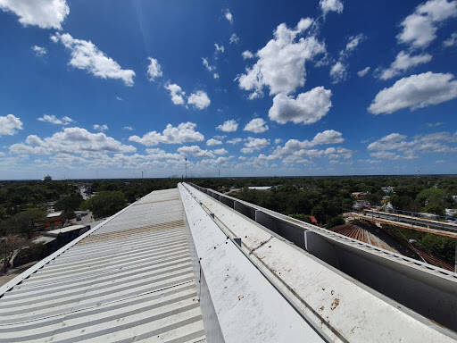%fumigadores baratos en Merida Tecnofumiga Control De Plagas®