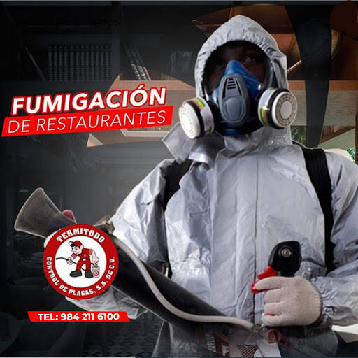 %fumigadores baratos en Playa del Carmen Termitodo Control De Plagas Q.Roo